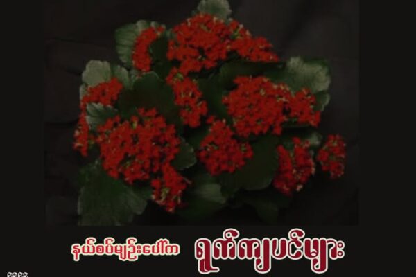 နယ်စပ်မျဉ်းပေါ်က ရွက်ကျပင်များ