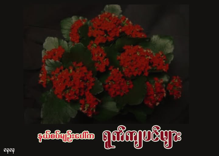 နယ်စပ်မျဉ်းပေါ်က ရွက်ကျပင်များ