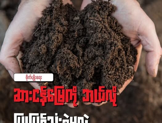 ပင်လယ်ရေ ဝင်ရောက်တတ်တဲ့ ဒေသတွေမှာ ဆားငန်မြေကို ဘယ်လိုပြုပြင်သုံးစွဲမလဲ