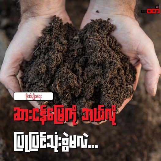 ပင်လယ်ရေ ဝင်ရောက်တတ်တဲ့ ဒေသတွေမှာ ဆားငန်မြေကို ဘယ်လိုပြုပြင်သုံးစွဲမလဲ