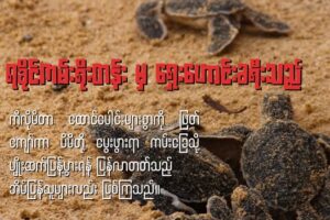 ရခိုင်ကမ်းရိုးတန်း မှ ရှေးဟောင်းခရီးသည်