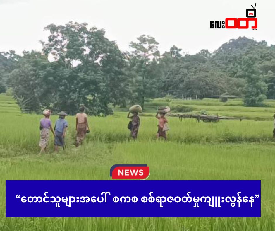 တောင်သူများအပေါ် စကစ စစ်ရာဇဝတ်မှုကျူးလွန်နေ