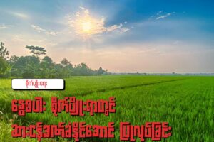 နွေစပါး စိုက်ပျိုးရာတွင် ဆားငန်ဒဏ်ခံနိုင်အောင် ပြုလုပ်ခြင်း-အပိုင်း ၁