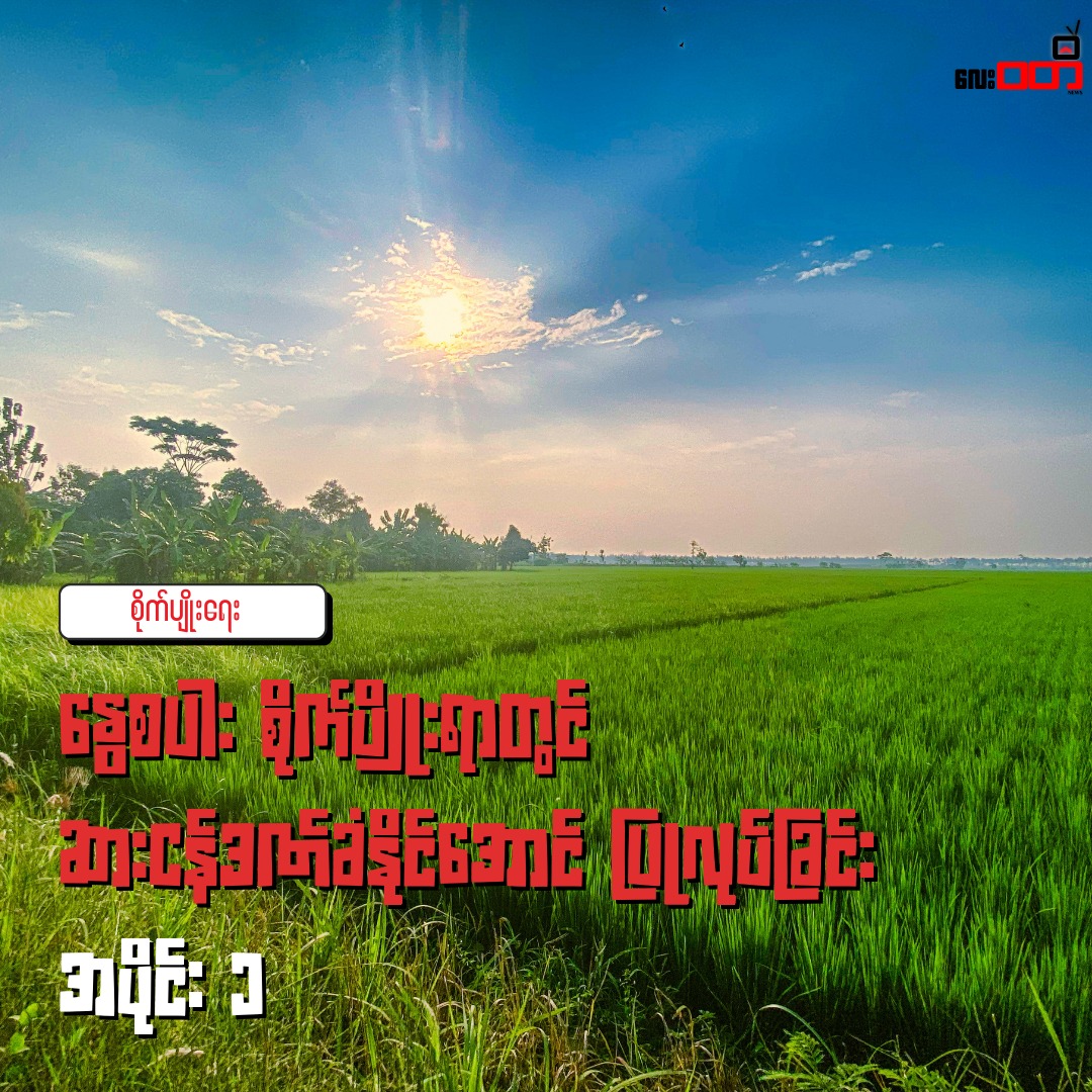 နွေစပါး စိုက်ပျိုးရာတွင် ဆားငန်ဒဏ်ခံနိုင်အောင် ပြုလုပ်ခြင်း-အပိုင်း ၁